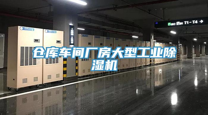 仓库车间厂房大型工业蕾丝视频污污污