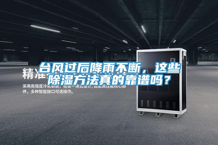 台风过后降雨不断，这些除湿方法真的靠谱吗？