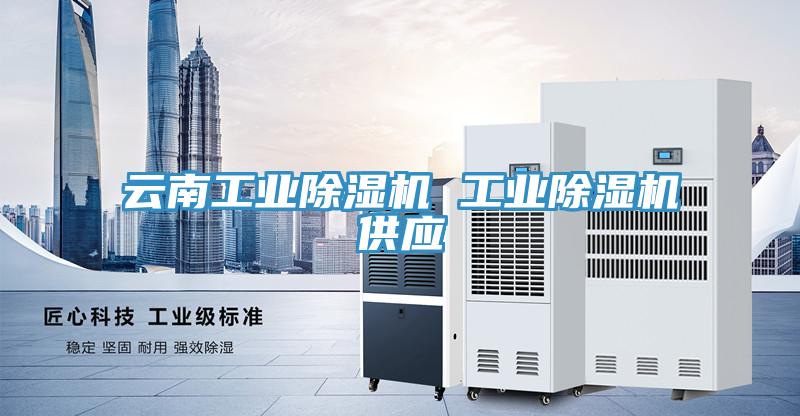 云南工业蕾丝视频污污污 工业蕾丝视频污污污供应