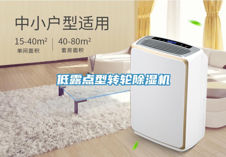 低露点型转轮蕾丝视频污污污
