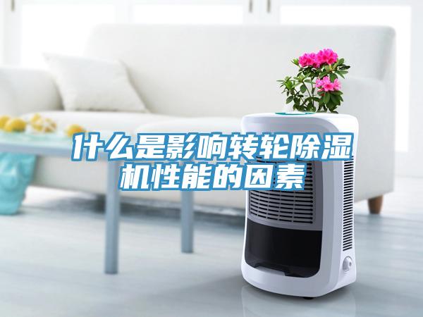 什么是影响转轮蕾丝视频污污污性能的因素