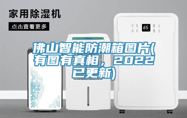 佛山智能防潮箱图片(有图有真相，2022已更新)