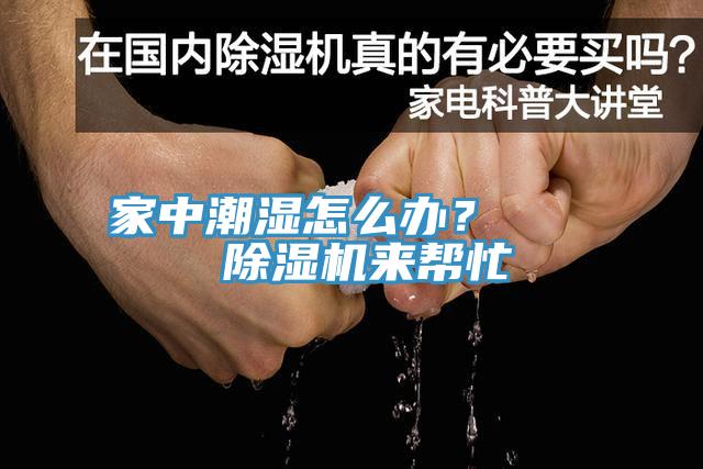 家中潮湿怎么办？    蕾丝视频污污污来帮忙