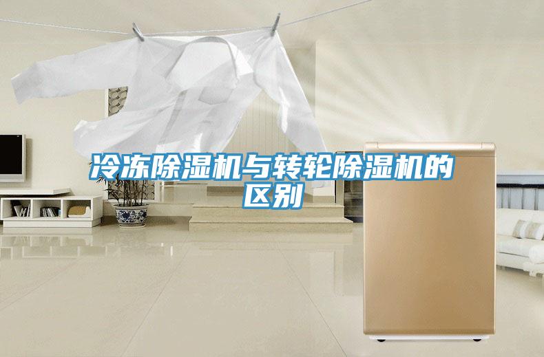 冷冻蕾丝视频污污污与转轮蕾丝视频污污污的区别