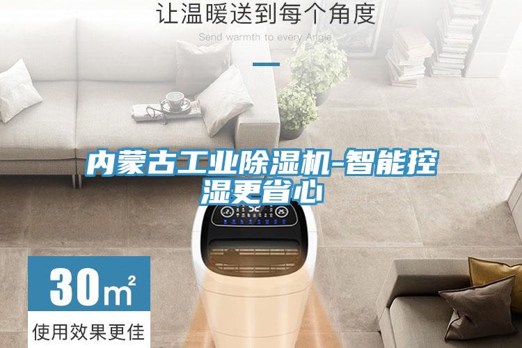 内蒙古工业蕾丝视频污污污-智能控湿更省心