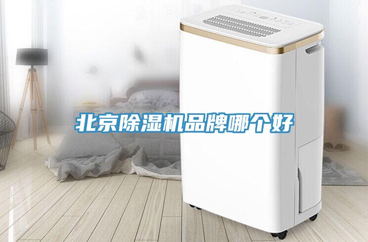 北京蕾丝视频污污污品牌哪个好