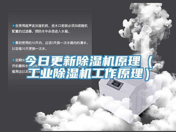 今日更新蕾丝视频污污污原理（工业蕾丝视频污污污工作原理）