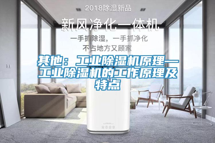 其他：工业蕾丝视频污污污原理—工业蕾丝视频污污污的工作原理及特点