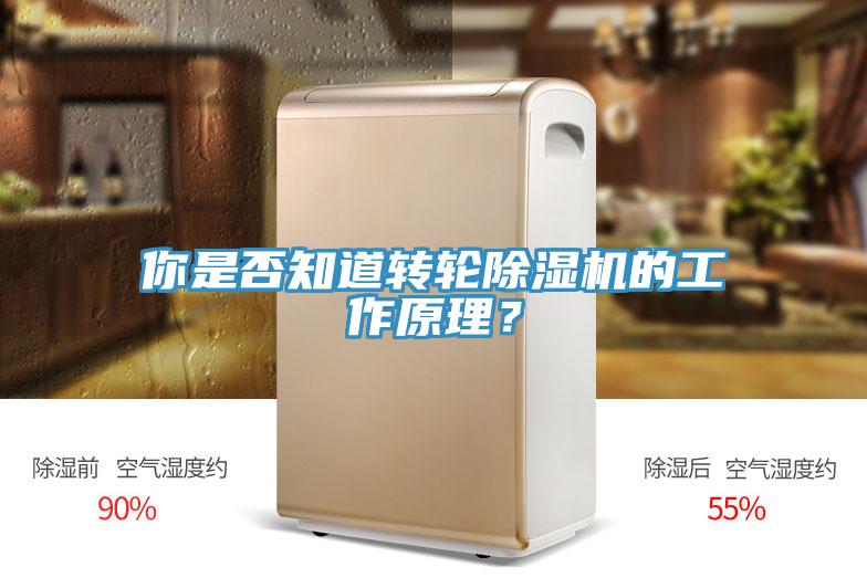 你是否知道转轮蕾丝视频污污污的工作原理？