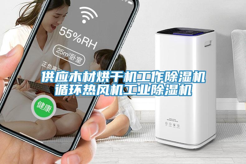 供应木材烘干机工作蕾丝视频污污污循环热风机工业蕾丝视频污污污