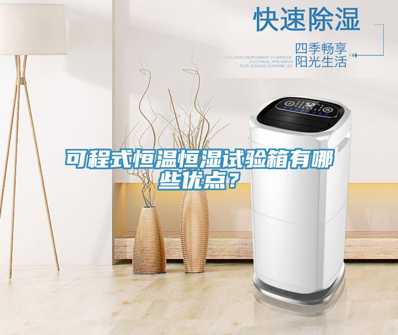 可程式恒温恒湿试验箱有哪些优点？