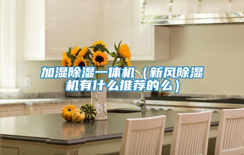 加湿除湿一体机（新风蕾丝视频污污污有什么推荐的么）