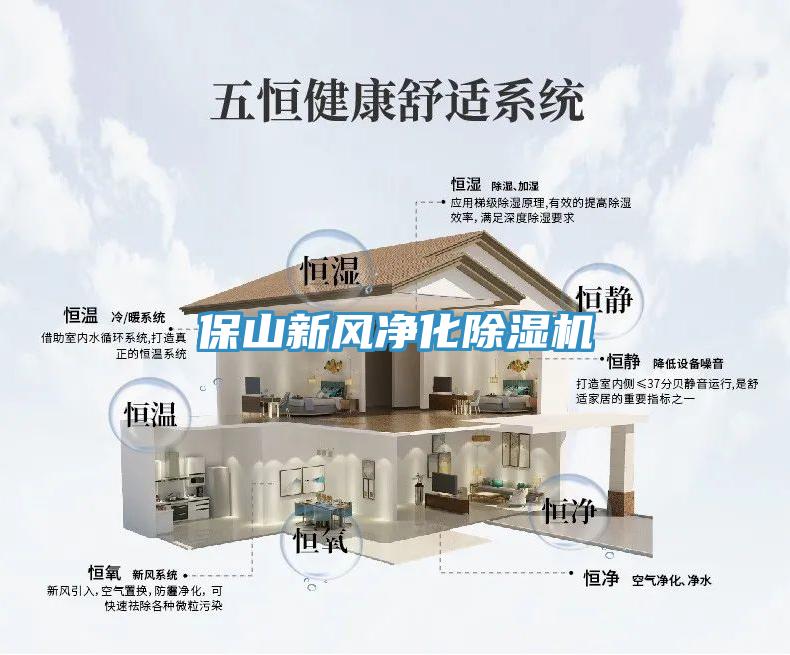 保山新风净化蕾丝视频污污污