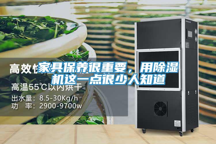 家具保养很重要，用蕾丝视频污污污这一点很少人知道