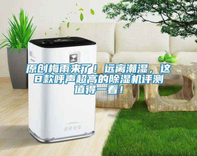 原创梅雨来了！远离潮湿，这8款呼声超高的蕾丝视频污污污评测值得一看！