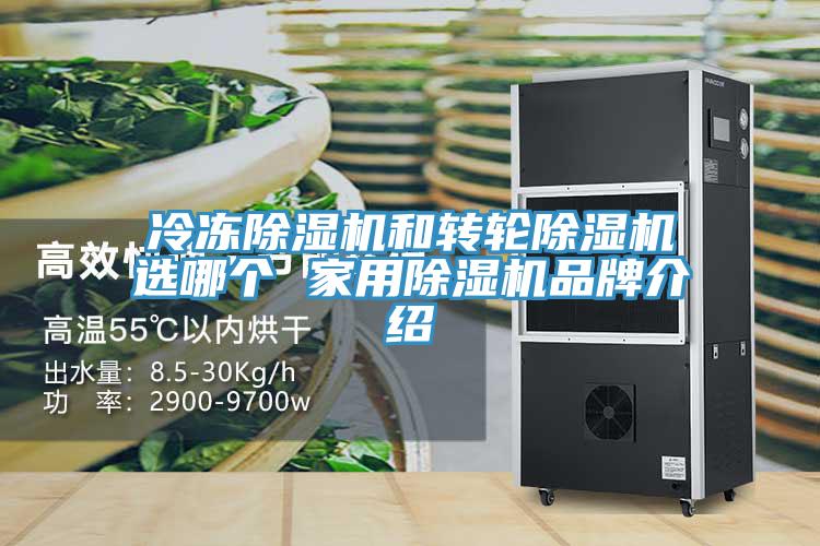 冷冻蕾丝视频污污污和转轮蕾丝视频污污污选哪个 家用蕾丝视频污污污品牌介绍