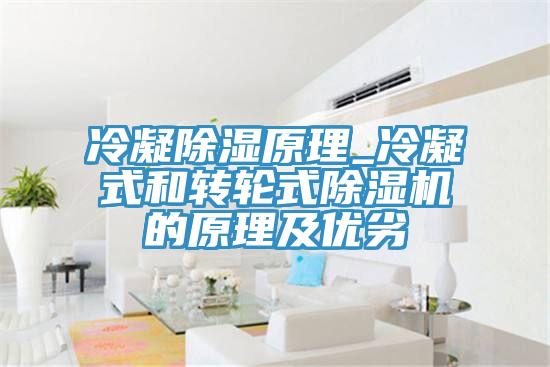 冷凝除湿原理_冷凝式和转轮式蕾丝视频污污污的原理及优劣