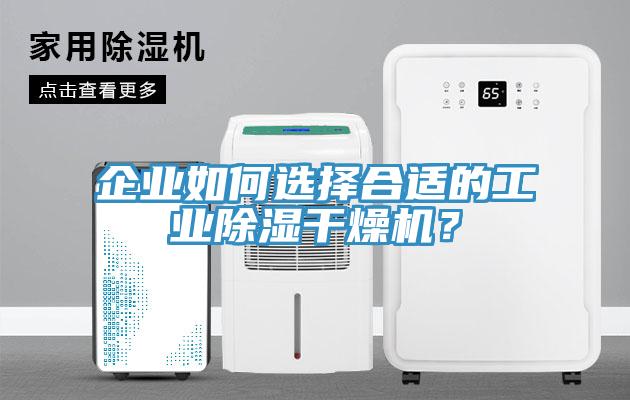 企业如何选择合适的工业除湿干燥机？