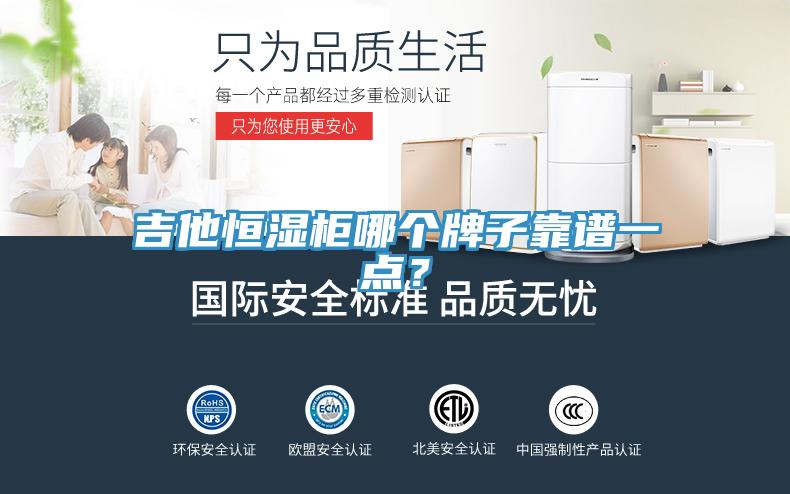 吉他恒湿柜哪个牌子靠谱一点？