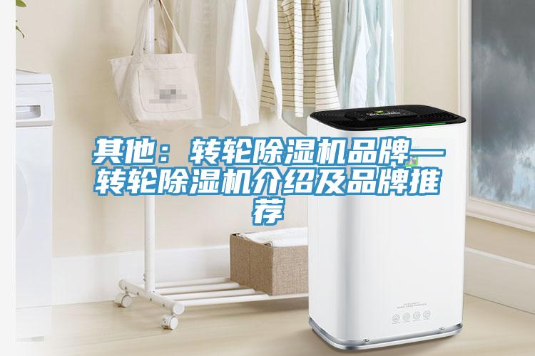 其他：转轮蕾丝视频污污污品牌—转轮蕾丝视频污污污介绍及品牌推荐
