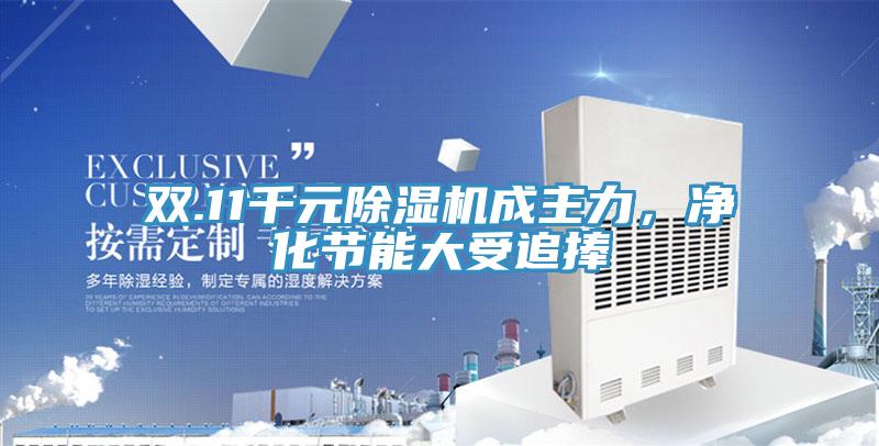 双.11千元蕾丝视频污污污成主力，净化节能大受追捧