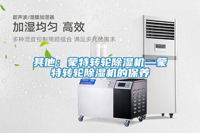 其他：蒙特转轮蕾丝视频污污污—蒙特转轮蕾丝视频污污污的保养