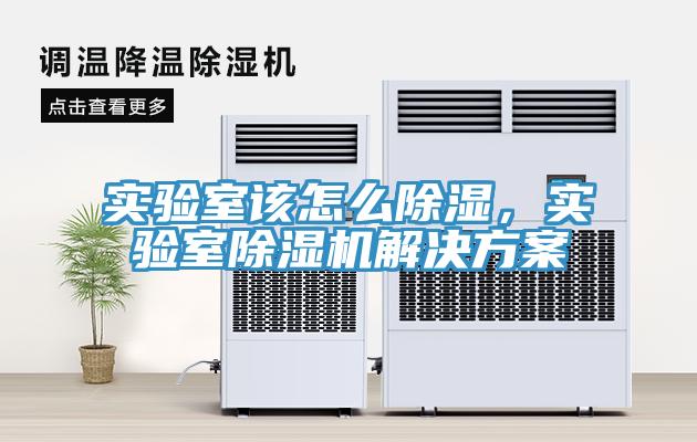 实验室该怎么除湿，实验室蕾丝视频污污污解决方案