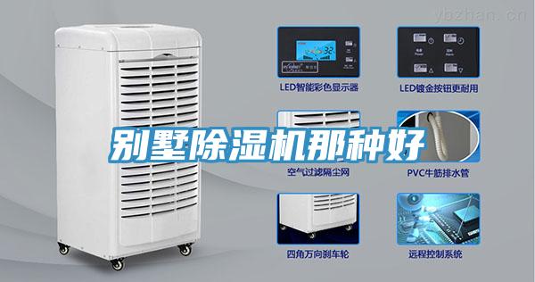 别墅蕾丝视频污污污那种好