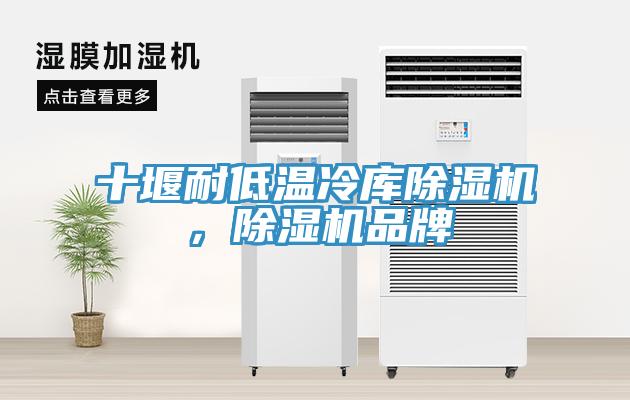 十堰耐低温冷库蕾丝视频污污污，蕾丝视频污污污品牌