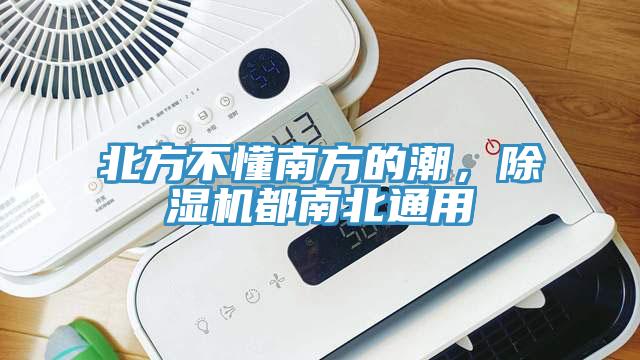 北方不懂南方的潮，蕾丝视频污污污都南北通用