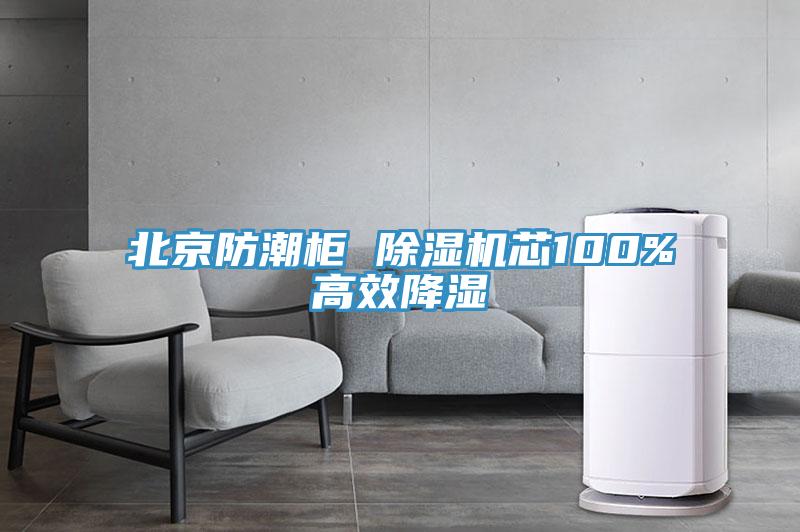 北京防潮柜 蕾丝视频污污污芯100%高效降湿