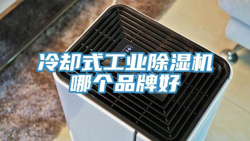 冷却式工业蕾丝视频污污污哪个品牌好