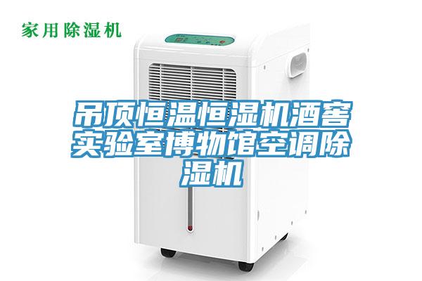 吊顶恒温恒湿机酒窖实验室博物馆空调蕾丝视频污污污