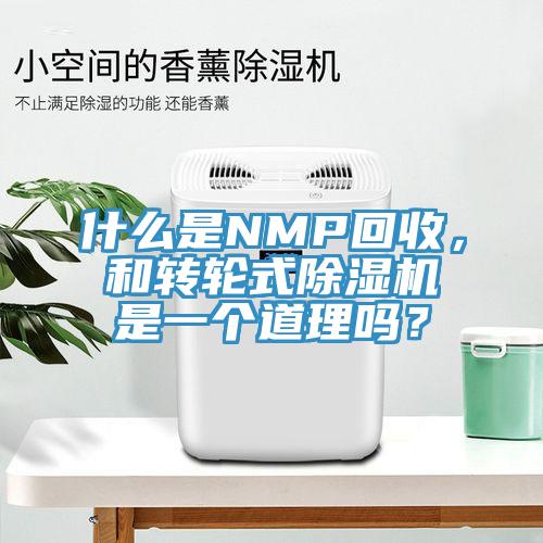 什么是NMP回收，和转轮式蕾丝视频污污污是一个道理吗？