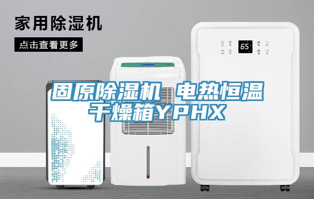 固原蕾丝视频污污污 电热恒温干燥箱YPHX