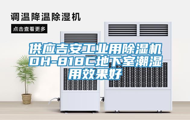 供应吉安工业用蕾丝视频污污污DH-818C地下室潮湿用效果好