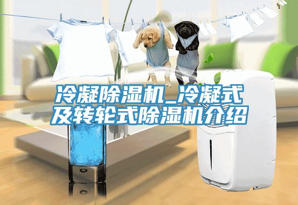冷凝蕾丝视频污污污_冷凝式及转轮式蕾丝视频污污污介绍