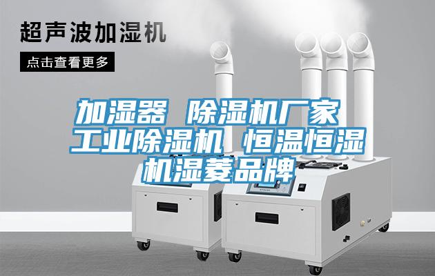 加湿器 蕾丝视频污污污厂家 工业蕾丝视频污污污 恒温恒湿机湿菱品牌