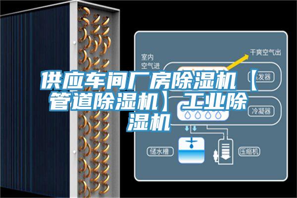 供应车间厂房蕾丝视频污污污【管道蕾丝视频污污污】工业蕾丝视频污污污