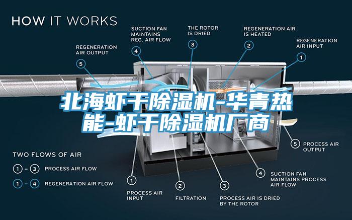 北海虾干蕾丝视频污污污-华青热能-虾干蕾丝视频污污污厂商