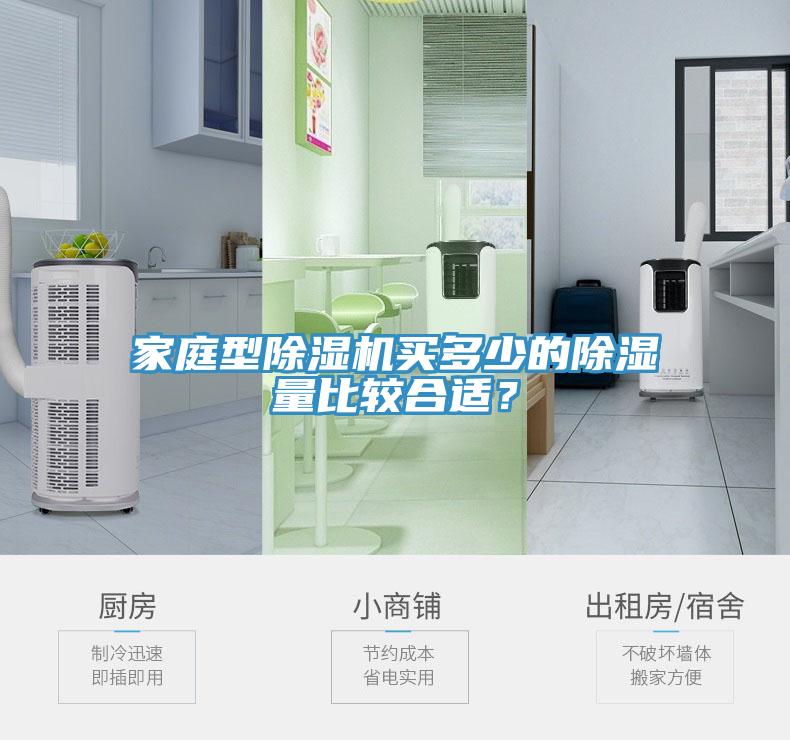 家庭型蕾丝视频污污污买多少的除湿量比较合适？