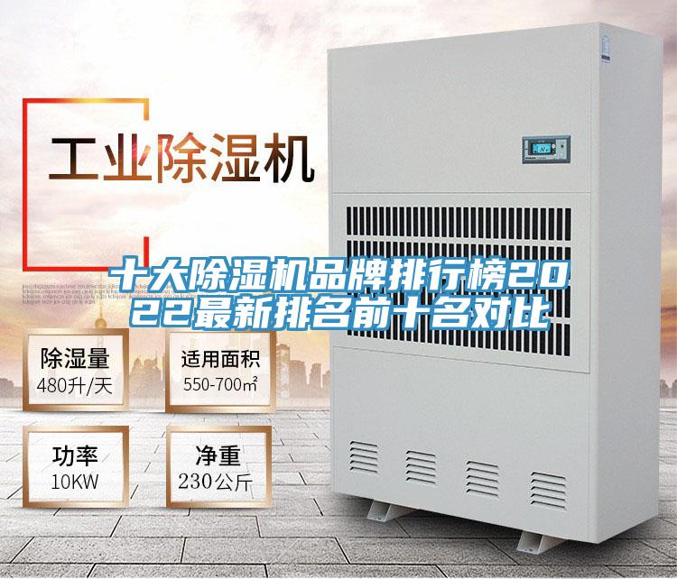 十大蕾丝视频污污污品牌排行榜2022最新排名前十名对比