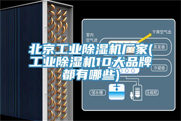 北京工业蕾丝视频污污污厂家(工业蕾丝视频污污污10大品牌都有哪些)
