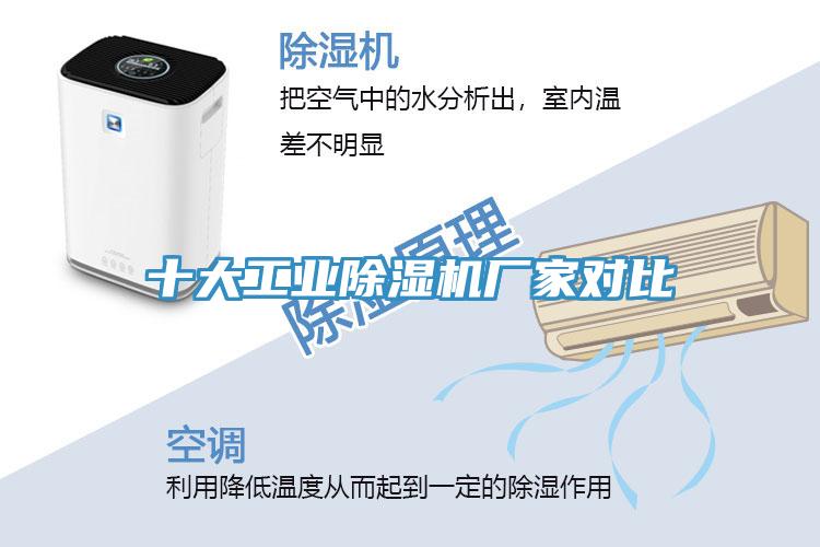 十大工业蕾丝视频污污污厂家对比