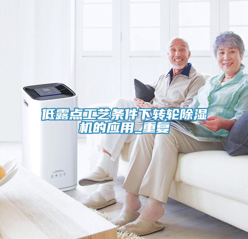 低露点工艺条件下转轮蕾丝视频污污污的应用_重复