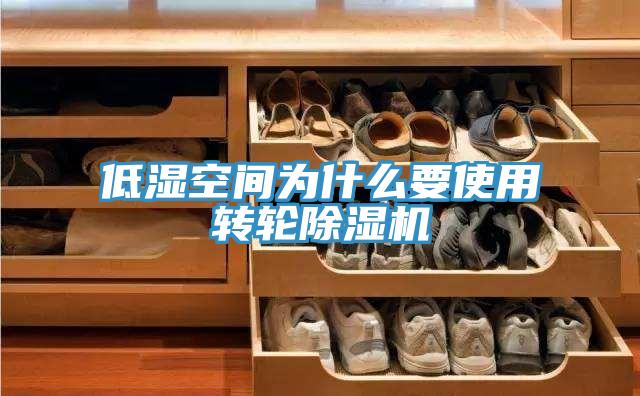 低湿空间为什么要使用转轮蕾丝视频污污污