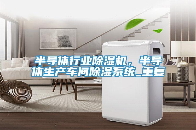 半导体行业蕾丝视频污污污，半导体生产车间除湿系统_重复