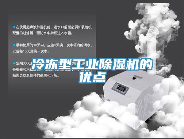 冷冻型工业蕾丝视频污污污的优点