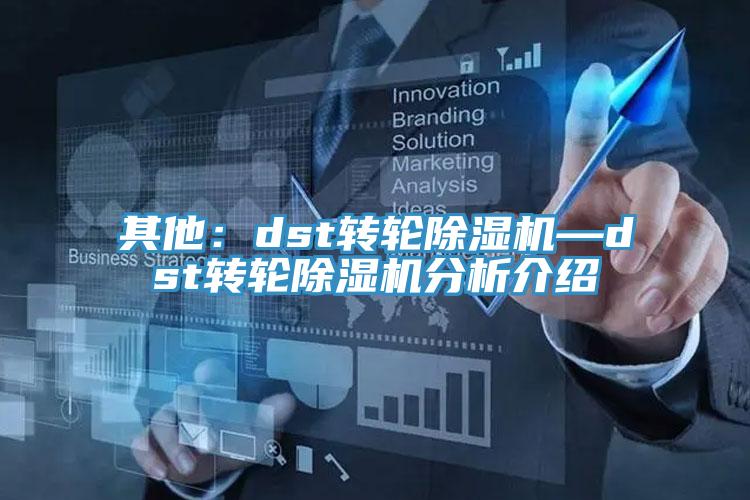 其他：dst转轮蕾丝视频污污污—dst转轮蕾丝视频污污污分析介绍