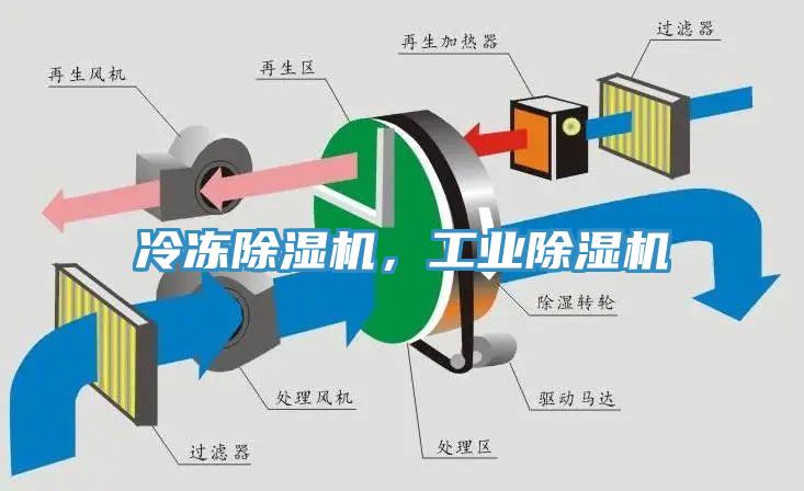 冷冻蕾丝视频污污污，工业蕾丝视频污污污